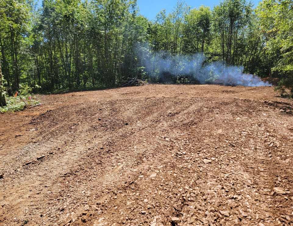 Land cleared by Dirt DR with trees along the property edge